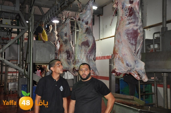 Jam3iya la7m3n (1).JPG